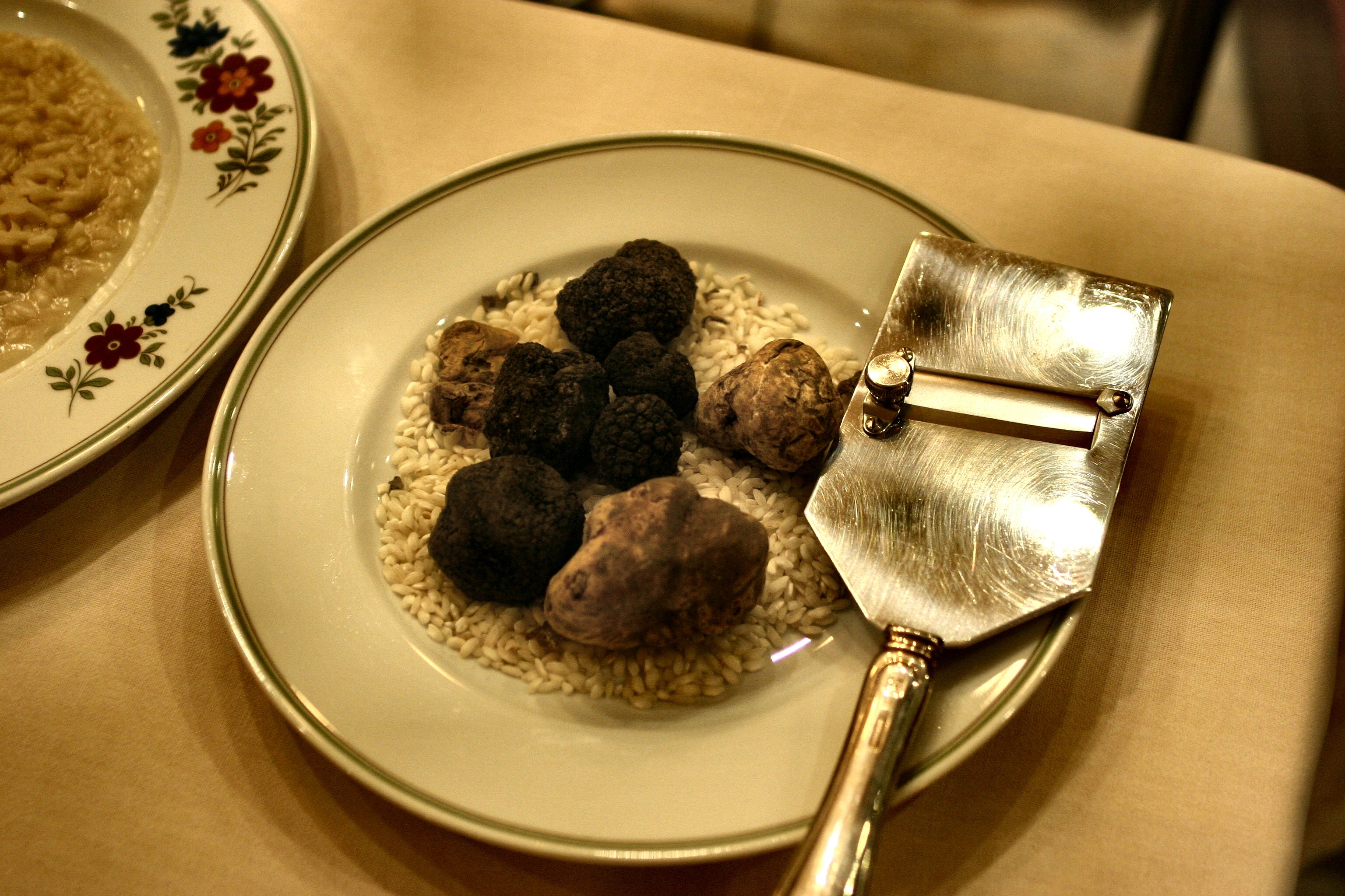 truffle hunting piedmont